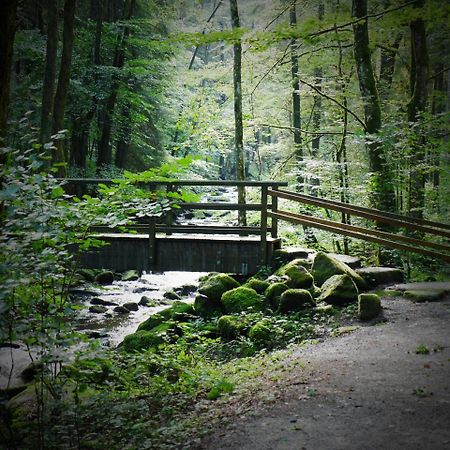 Fewo Kedo Neukirchen vorm Wald Esterno foto