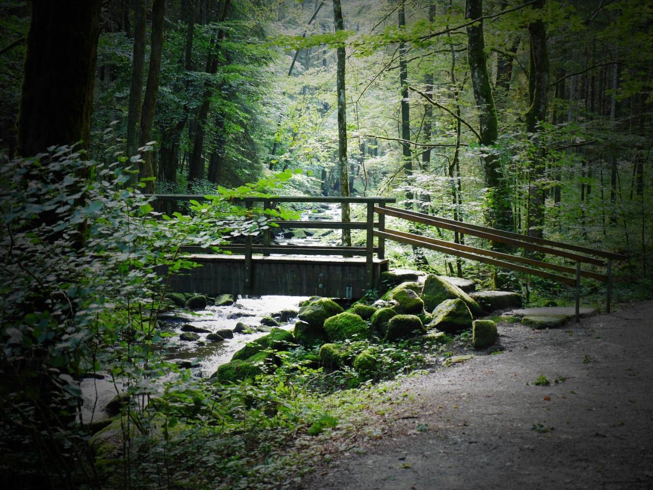 Fewo Kedo Neukirchen vorm Wald Esterno foto