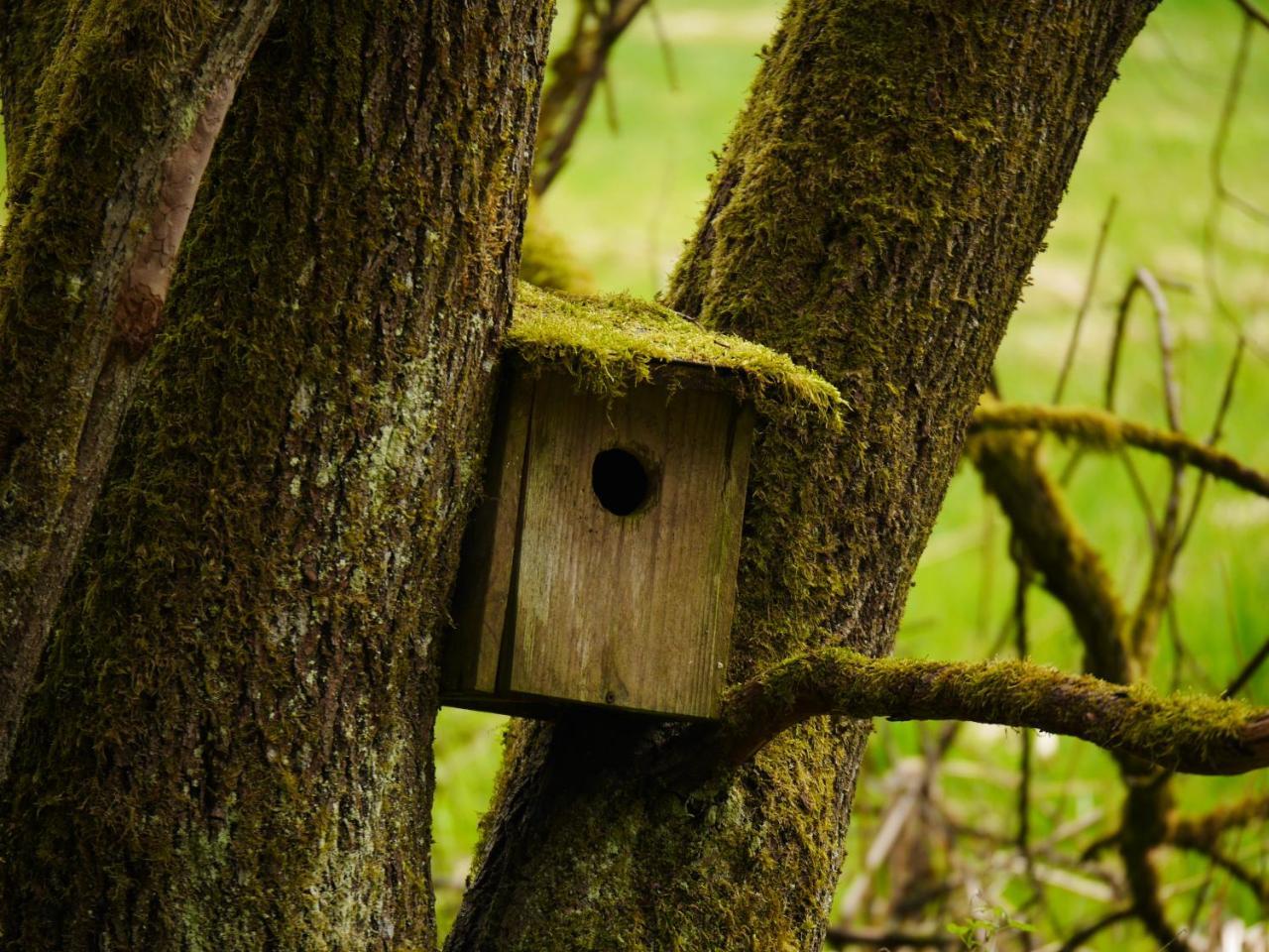 Fewo Kedo Neukirchen vorm Wald Esterno foto