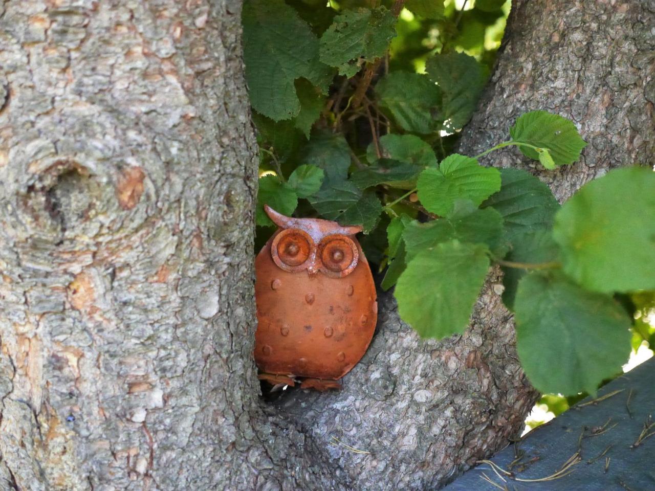 Fewo Kedo Neukirchen vorm Wald Esterno foto